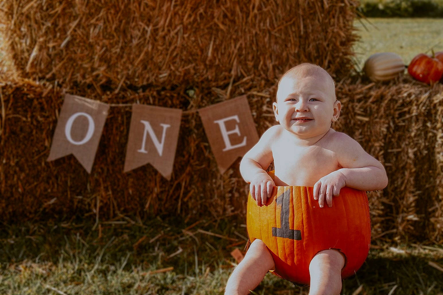 Axton joined the competition — help win amazing prizes! abdomen, baby, baby_toddler_clothing, chest, child, fun, grass, grass_family, happy, joy, leisure, orange, people_in_nature, person, plant, pumpkin, recreation, sitting, smile, toddler