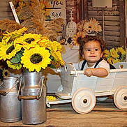 Louana participe au concours pour gagner de l'argent avec cette photo : baby, cart, child, curly_hair, cute, decor, flowers, happy, indoor, milk_cans, playful, portrait, rustic, smiling, sunflowers, toddler, vintage, white_cart, wood_floor, wooden_cart