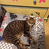 Lola participe au concours pour gagner de l'argent avec cette photo :