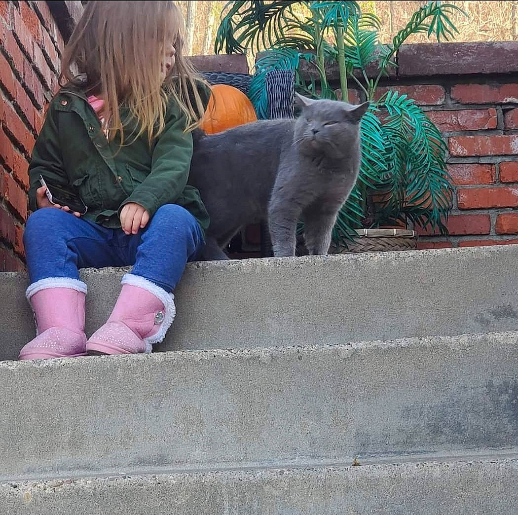 Church joined the competition — help win amazing prizes! barefoot, carnivore, cat, comfort, denim, domestic_short_haired_cat, electric_blue, felidae, foot, grass, grey, human_leg, knee, leisure, plant, sitting, small_to_medium_sized_cats, tail, thigh, whiskers