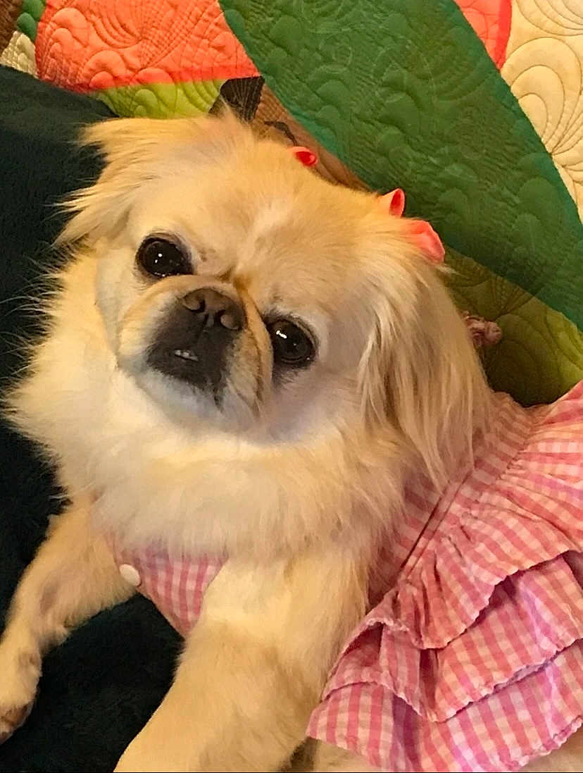 Ivy Marie
