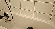 Saphir a rejoint le concours — aidez-le/la à gagner de superbes lots ! cat, bathtub, bathroom, tile_wall, calico_cat, pet, indoor, mat, white_tub, shower, plumbing, clean, minimalist, curious, sitting, domestic, home, black_faucet, quiet, still_life