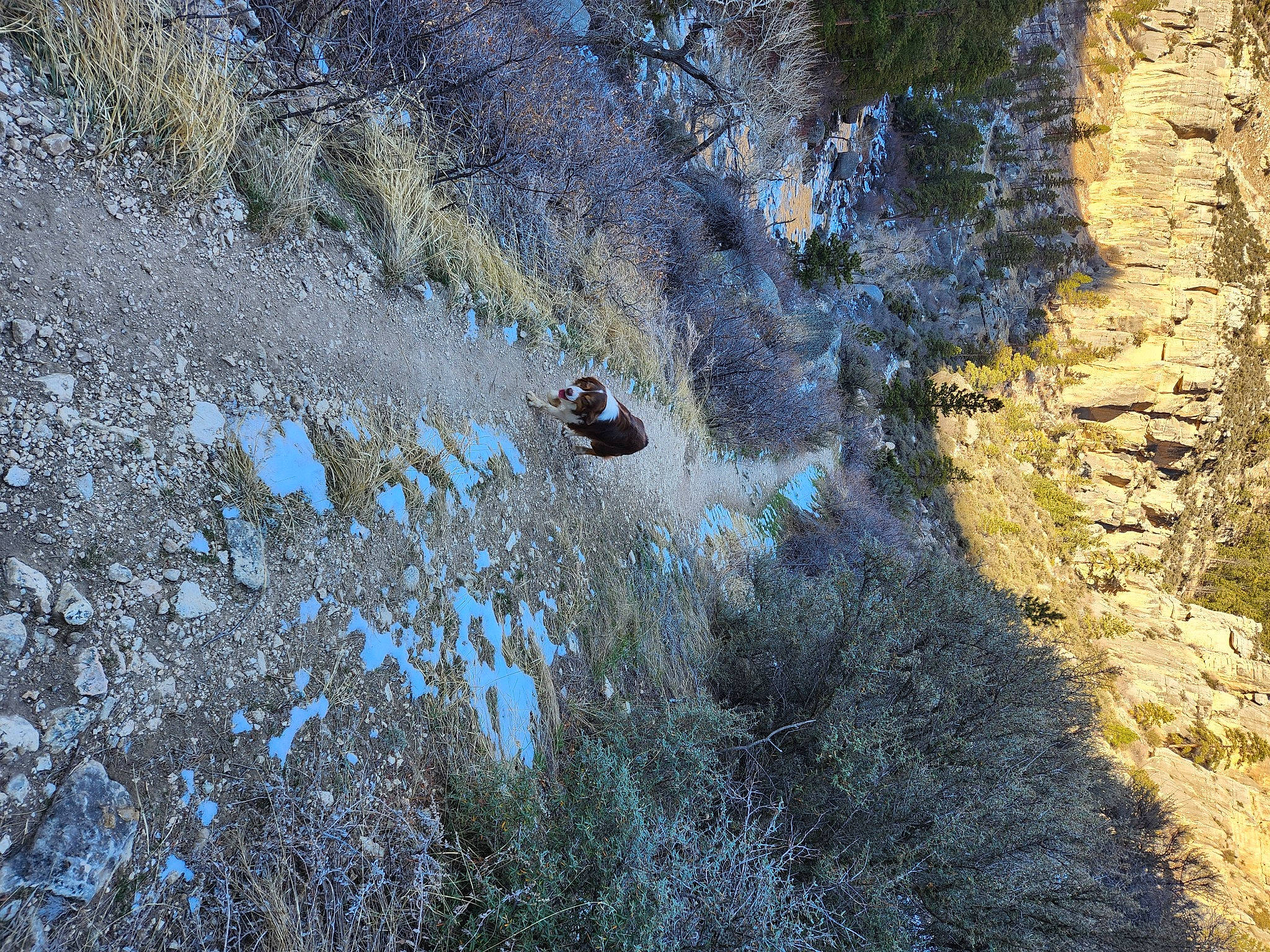 Prince Zuko joined the competition — help win amazing prizes! adventure, bedrock, fault, formation, freezing, grass, landscape, natural_landscape, outcrop, plant, recreation, reflection, riparian_zone, rock, slope, soil, tree, trunk, wildlife, winter