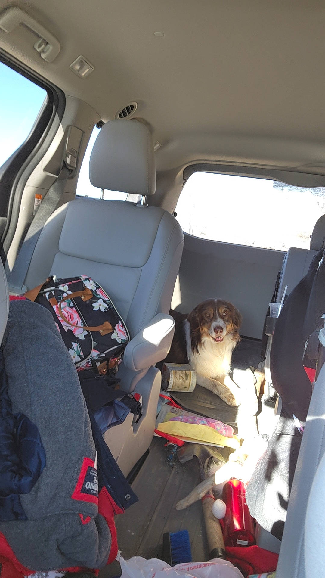 Prince Zuko is registered to the contest to win money with this photo: aerospace_engineering, air_travel, airline, auto_part, automotive_design, automotive_exterior, car, car_seat, car_seat_cover, family_car, head_restraint, luxury_vehicle, motor_vehicle, personal_luxury_car, seat_belt, sky, trunk, vehicle, vehicle_door, window