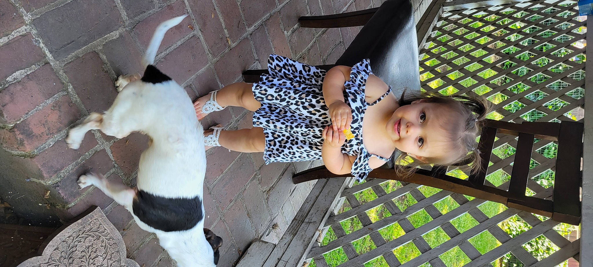 Daniella joined the competition — help win amazing prizes! baby, baby_toddler_clothing, child, companion_dog, dog_breed, face, felidae, fun, grass, green, joy, leg, leisure, mammal, pattern, person, smile, snapshot, textile, toddler