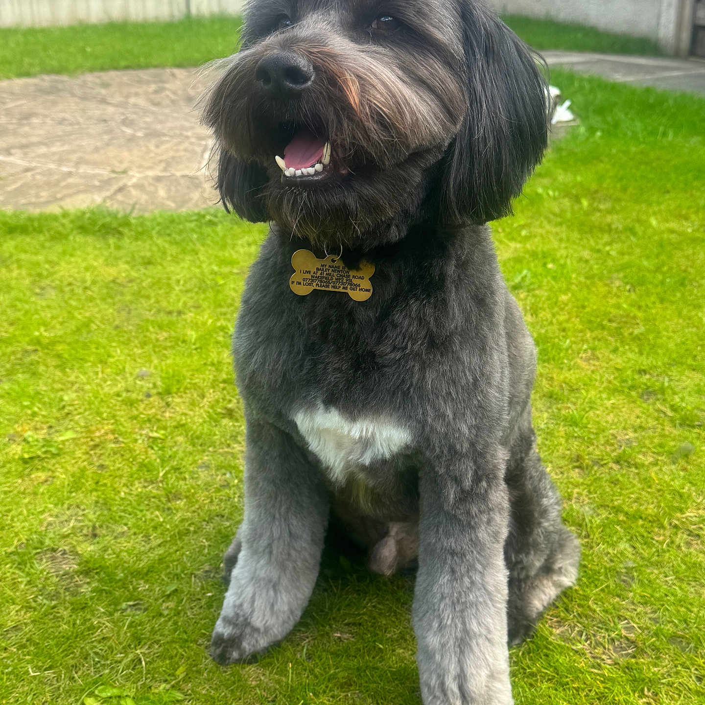Bailey