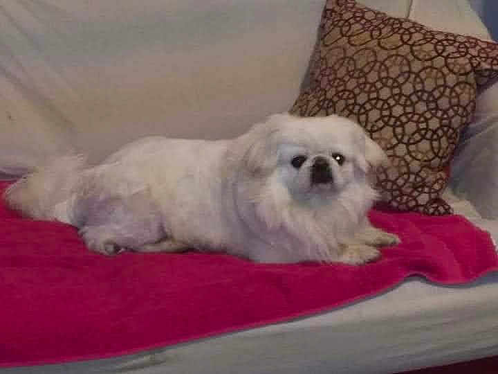 Casper