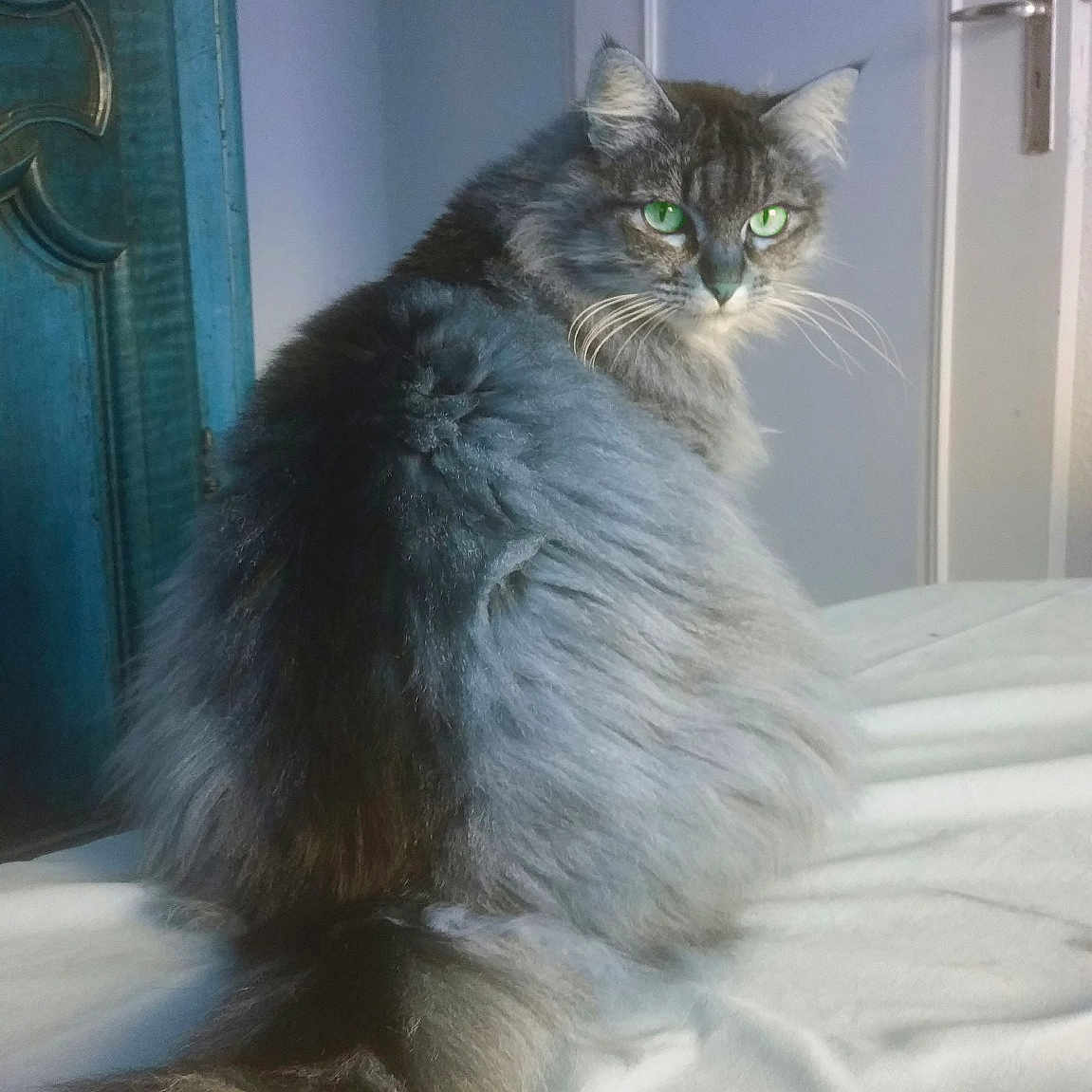 Minette