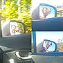 Meatball is registered to the contest to win money with this photo: dog, car, side_mirror, reflection, outdoor, window, joyful, sunny, trees, blue_sky, pet, animal, brown_dog, collar, happy, movement, travel, daytime, vehicle, nature