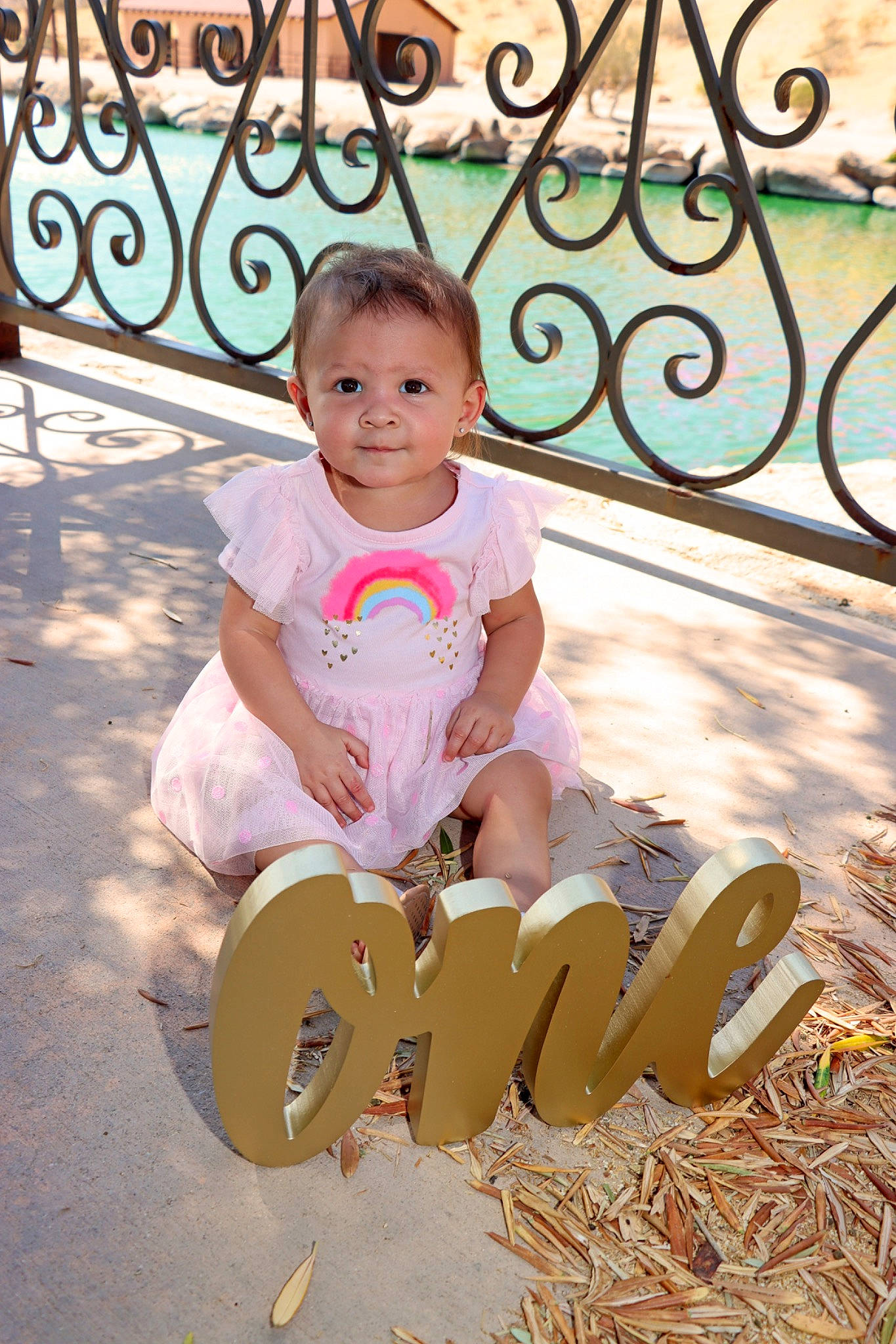 Cheyenne is registered to the contest to win money with this photo: beauty, child, fence, fun, grass, happy, human_leg, leisure, people, people_in_nature, person, recreation, shorts, sitting, smile, summer, t_shirt, thigh, toddler, tree