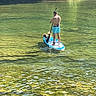 adventure, animal, clear_water, dog, greenery, leisure, man, nature, outdoor, paddleboard, pet, recreation, reflection, river, standing, summer, sunlight, trees, water, water_sport