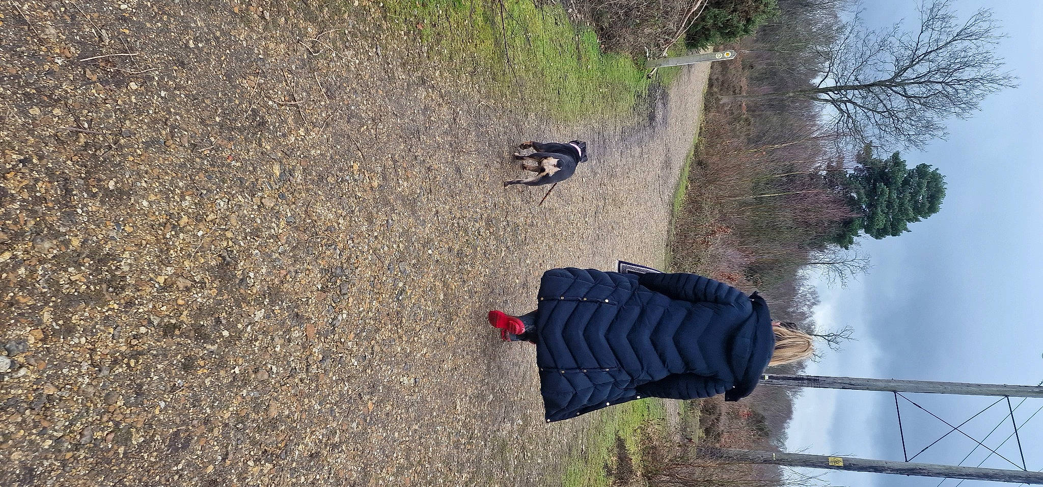 Coco is registered to the contest to win money with this photo: asphalt, concrete, grass, human_leg, landscape, people_in_nature, plant, road, road_surface, shadow, sky, slope, soil, tar, tints_and_shades, tire, tree, trunk, water, wood