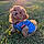 Benji