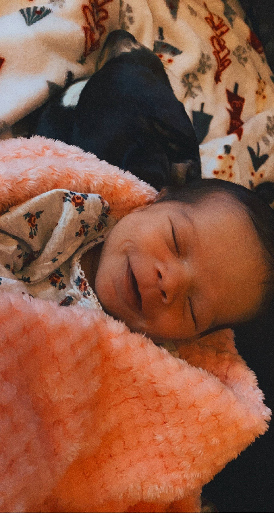 Cecelia joined the competition — help win amazing prizes! baby, cheek, child, close_up, comfort, eye, finger, fur, gesture, grass, happy, headgear, human_body, lip, mouth, nose, person, pink, skin, toddler