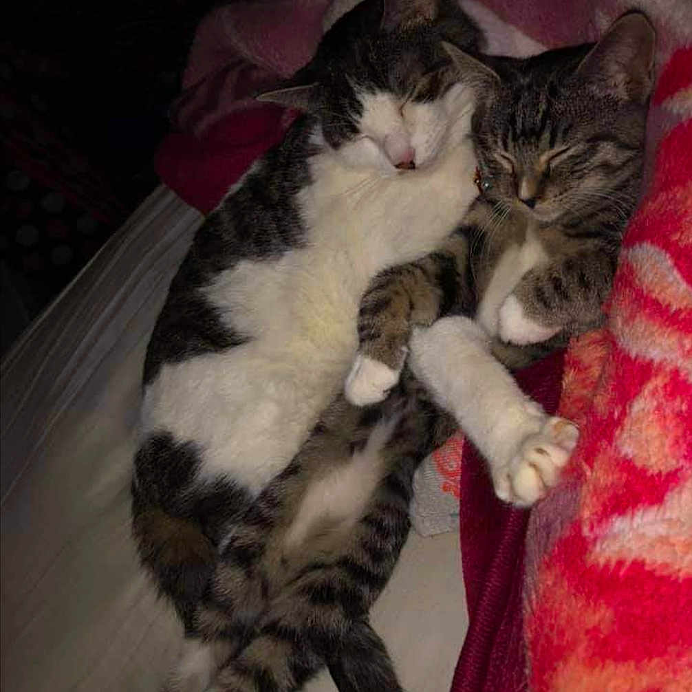 Sassy And Baby