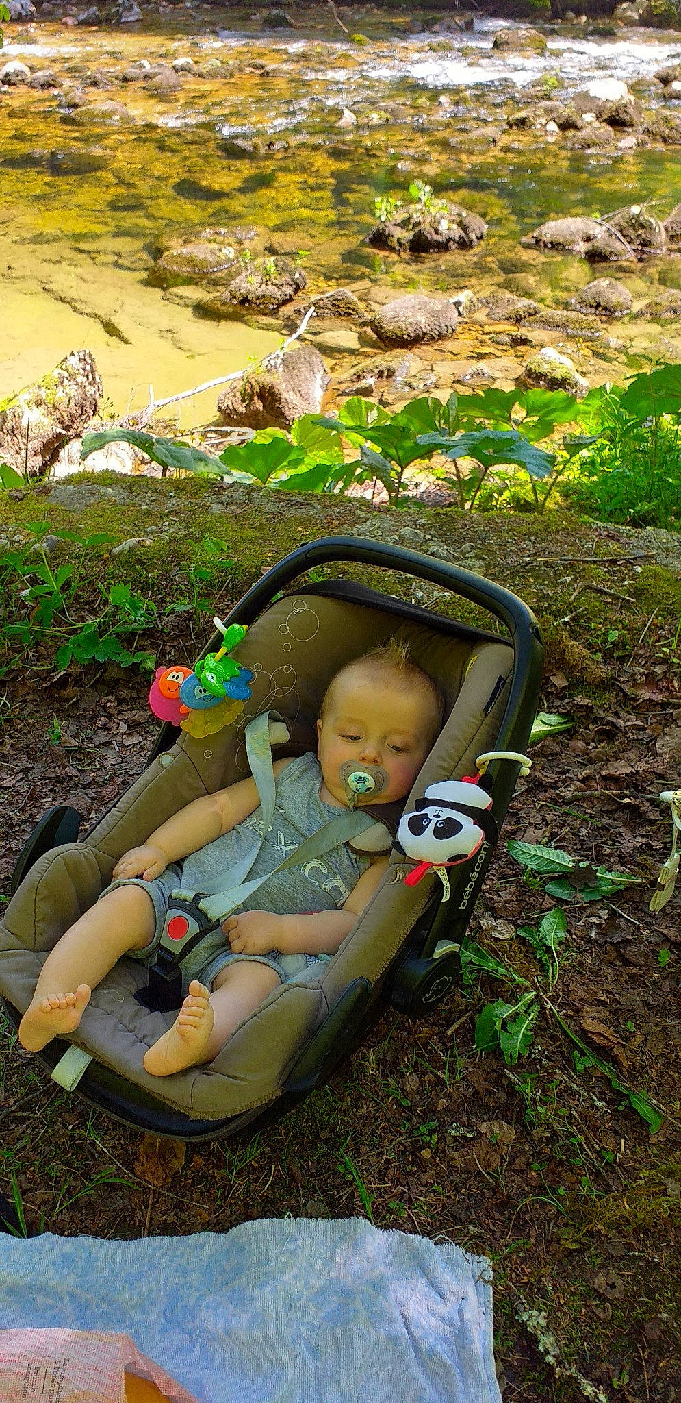 Esteban a rejoint le concours — aidez-le/la à gagner de superbes lots ! baby_products, child, fawn, grass, joy, jungle, landscape, person, plant