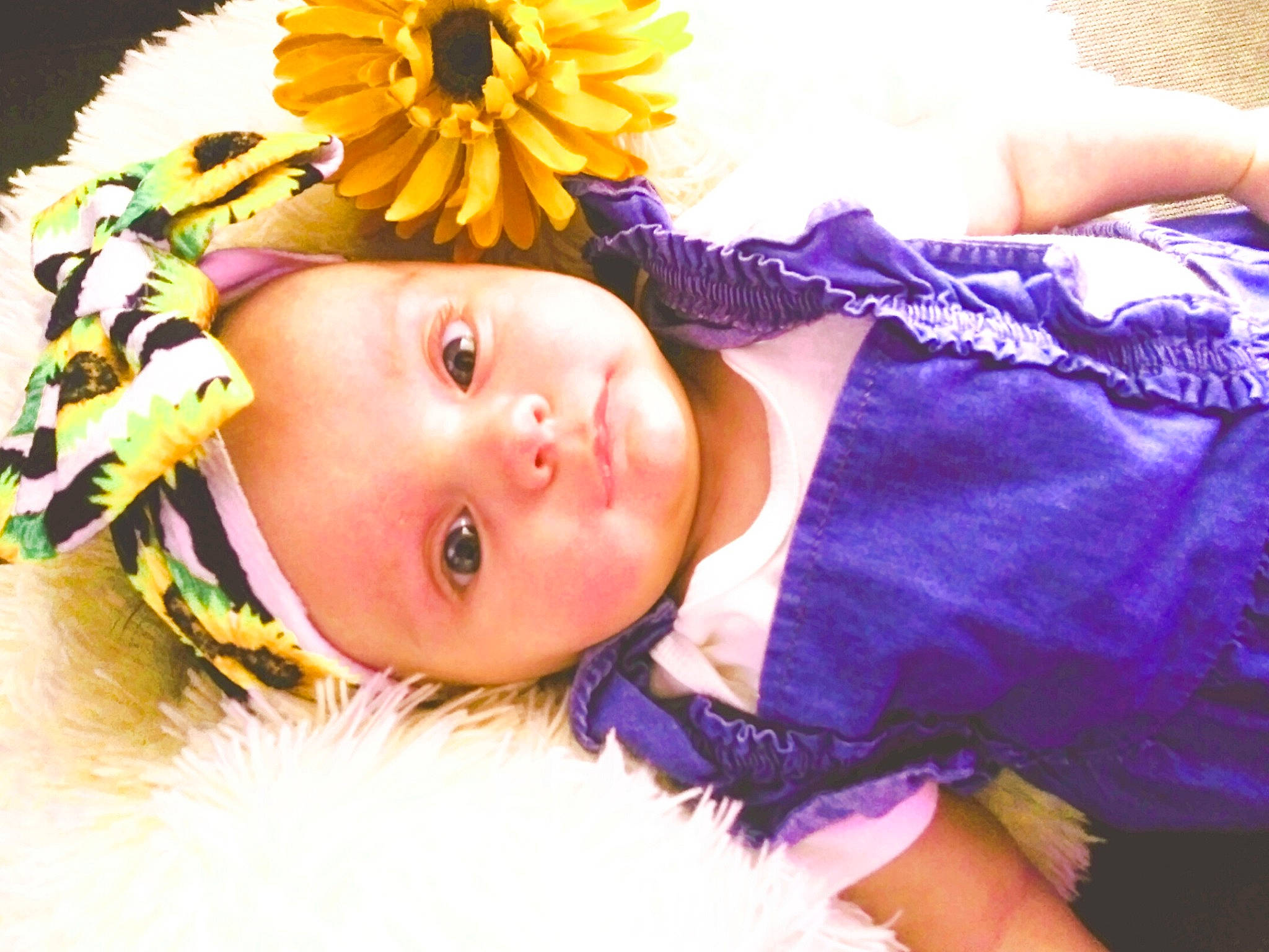 Brixlee is registered to the contest to win money with this photo: asterales, baby, baby_toddler_clothing, child, costume_accessory, cut_flowers, daisy_family, eyelash, fur, hair_accessory, headgear, nose, person, petal, pink, purple, skin, sunflower, toddler, violet