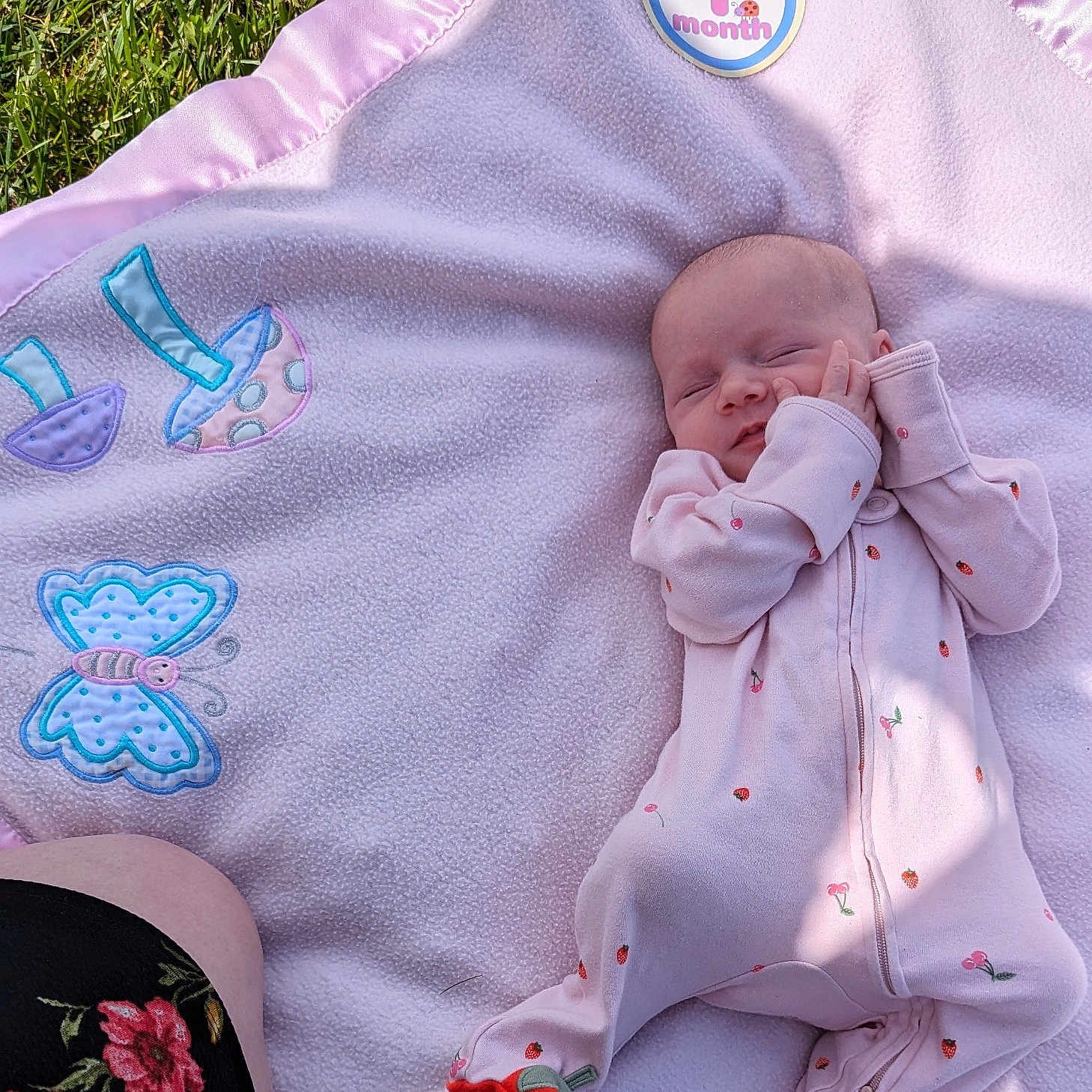 Rylee joined the competition — help win amazing prizes! applique, baby, bed, blanket, clothing, crib, face, furniture, grass, head, infantbed, newborn, pattern, person, photography, plant, portrait, purple, quilt, sleeping