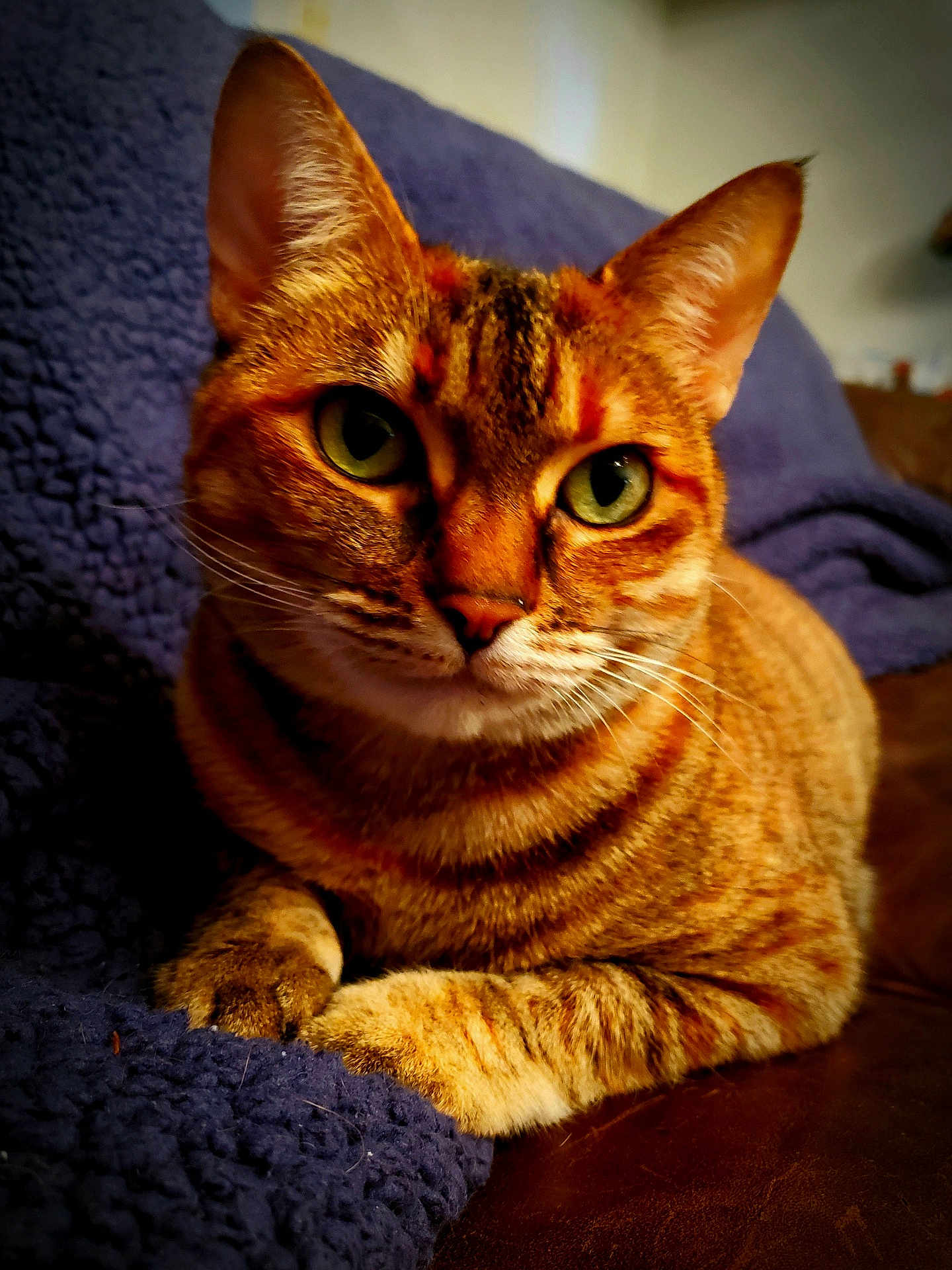 Quinn