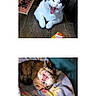 Pumpkin is registered to the contest to win money with this photo: animal, black_and_white_cat, blanket, calico_cat, cat, colorful, cozy, cute, domestic, feline, fur, indoor, pet, playful, relaxed, resting, sleepy, welcome_mat, wooden_floor, yawning