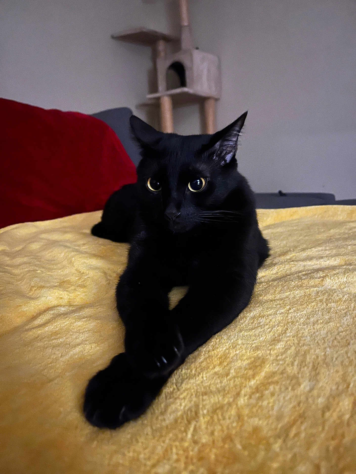 Romeo