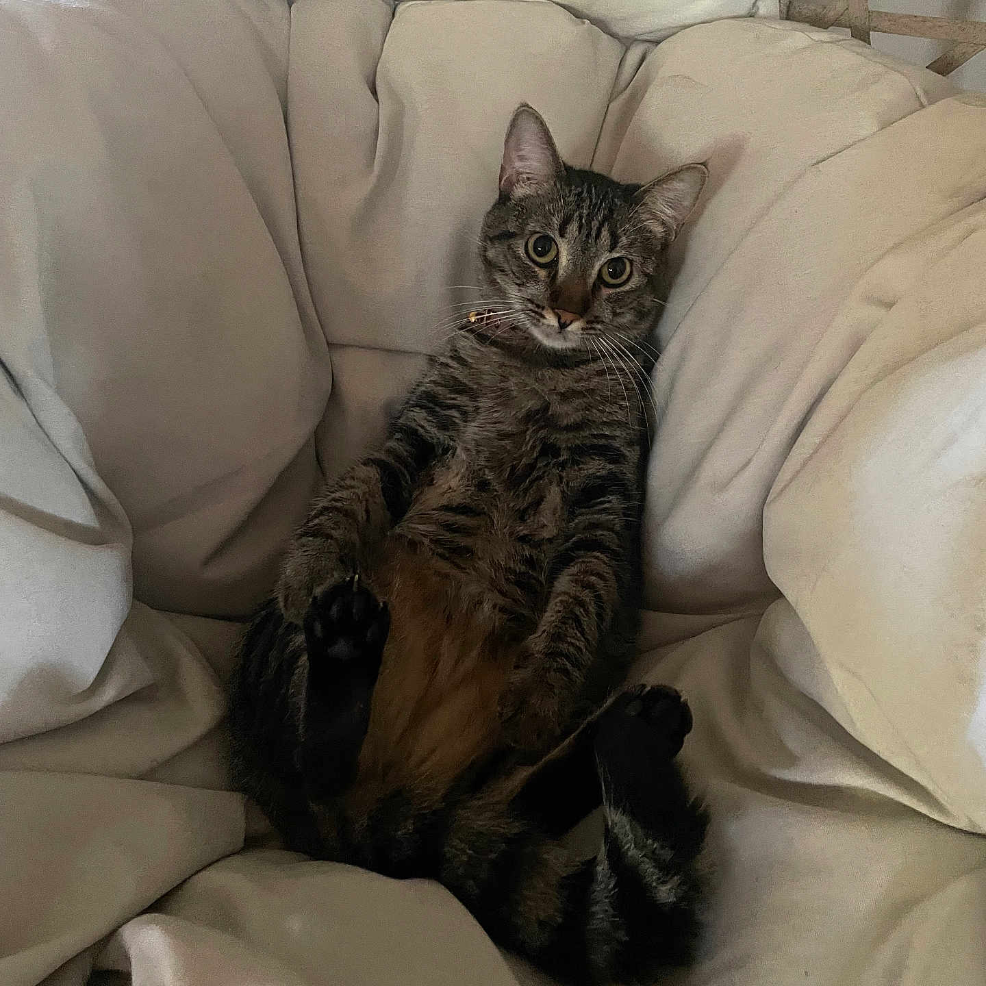 Zoe
