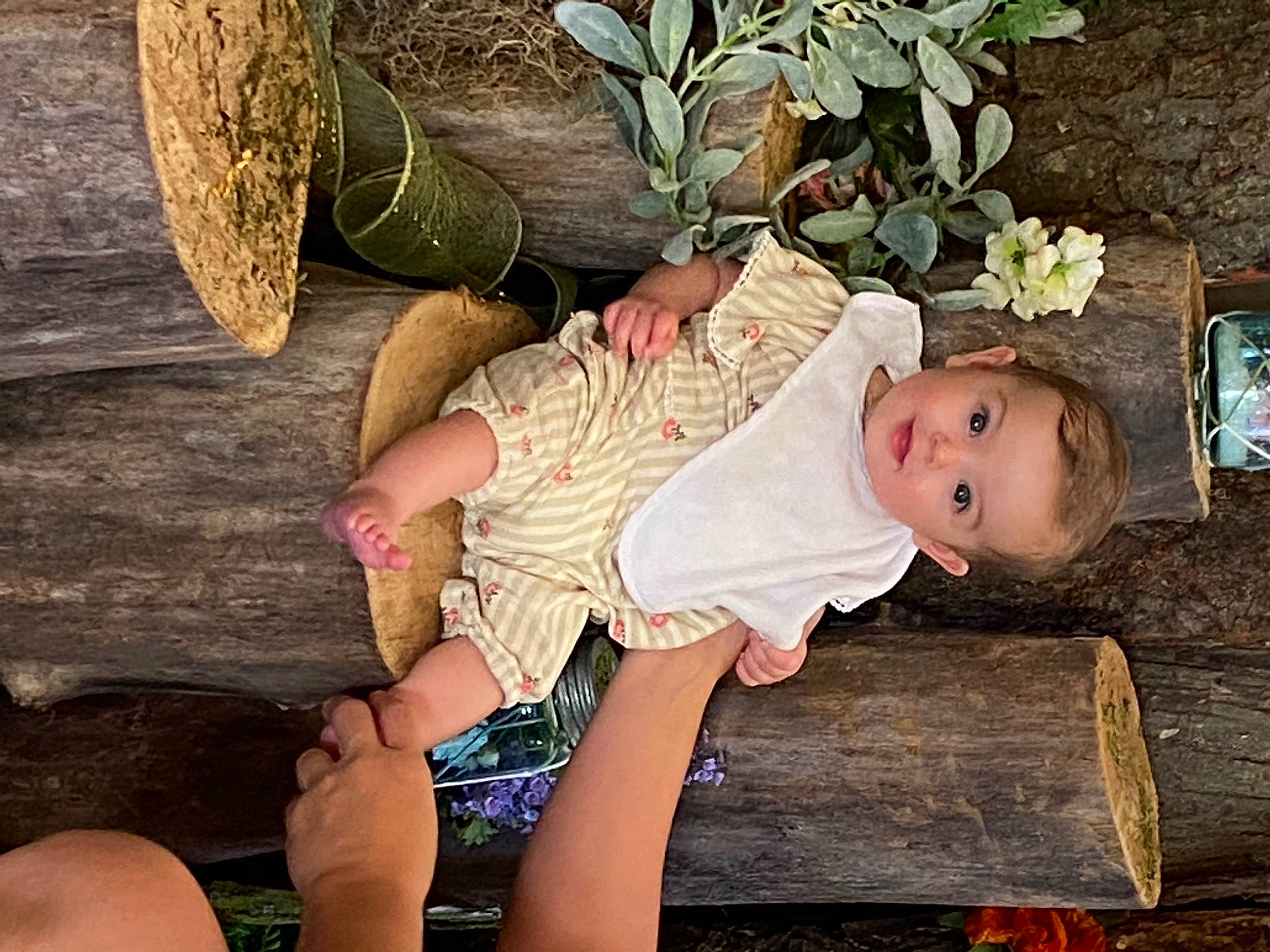 Rylann is registered to the contest to win money with this photo: child, leg, person, sitting, toddler, tree, wood