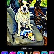 Rilley is registered to the contest to win money with this photo: dog, sunglasses, possum, car_interior, seat, window, greenery, animal, pet, stylized, artistic_effect, yellow, blue_cloth, fur, portrait, cute, companion, vehicle, inside, sitting