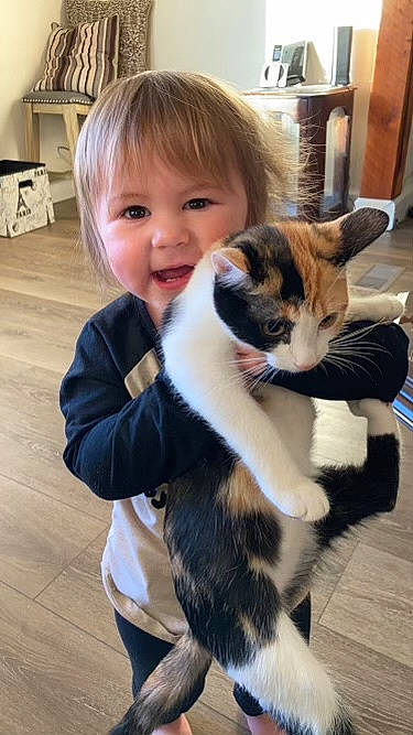 Gigi is registered to the contest to win money with this photo: carnivore, cat, comfort, companion_dog, domestic_short_haired_cat, fawn, felidae, flooring, fur, hair, hardwood, head, lap, person, sitting, small_to_medium_sized_cats, smile, tail, toddler, whiskers