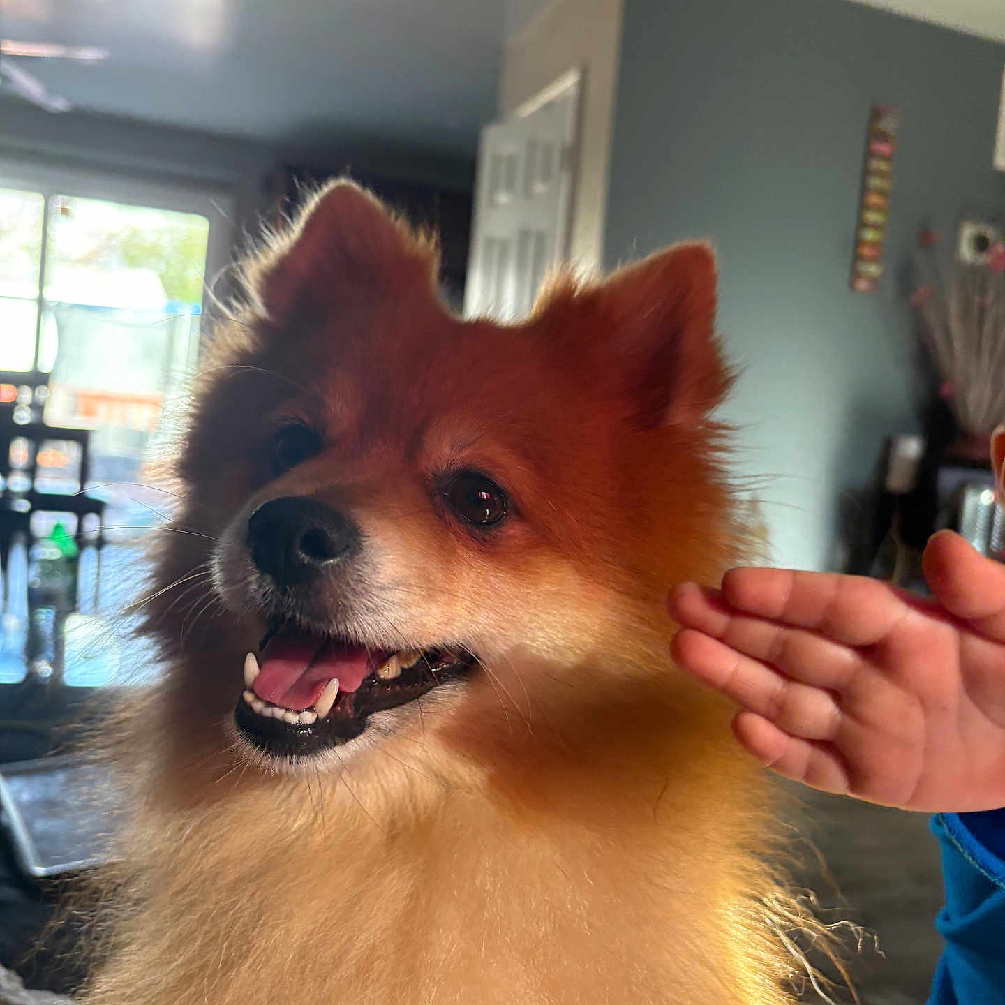 Max