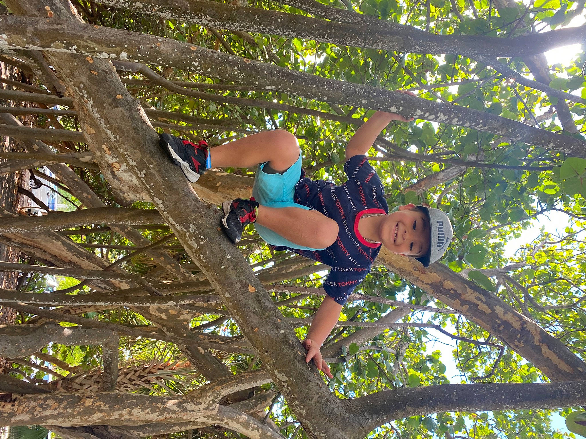 Leland is registered to the contest to win money with this photo: branch, elbow, electric_blue, forest, fun, grass, happy, headwear, joy, jungle, leisure, people_in_nature, person, plant, recreation, shorts, sneakers, soil, thigh, tree