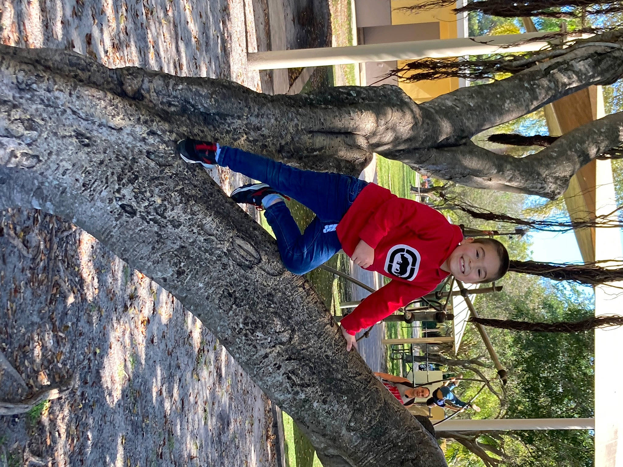 Leland joined the competition — help win amazing prizes! branch, electric_blue, fun, hat, joy, leisure, person, plant, recreation, soil, t_shirt, tree, trunk, twig, winter, wood