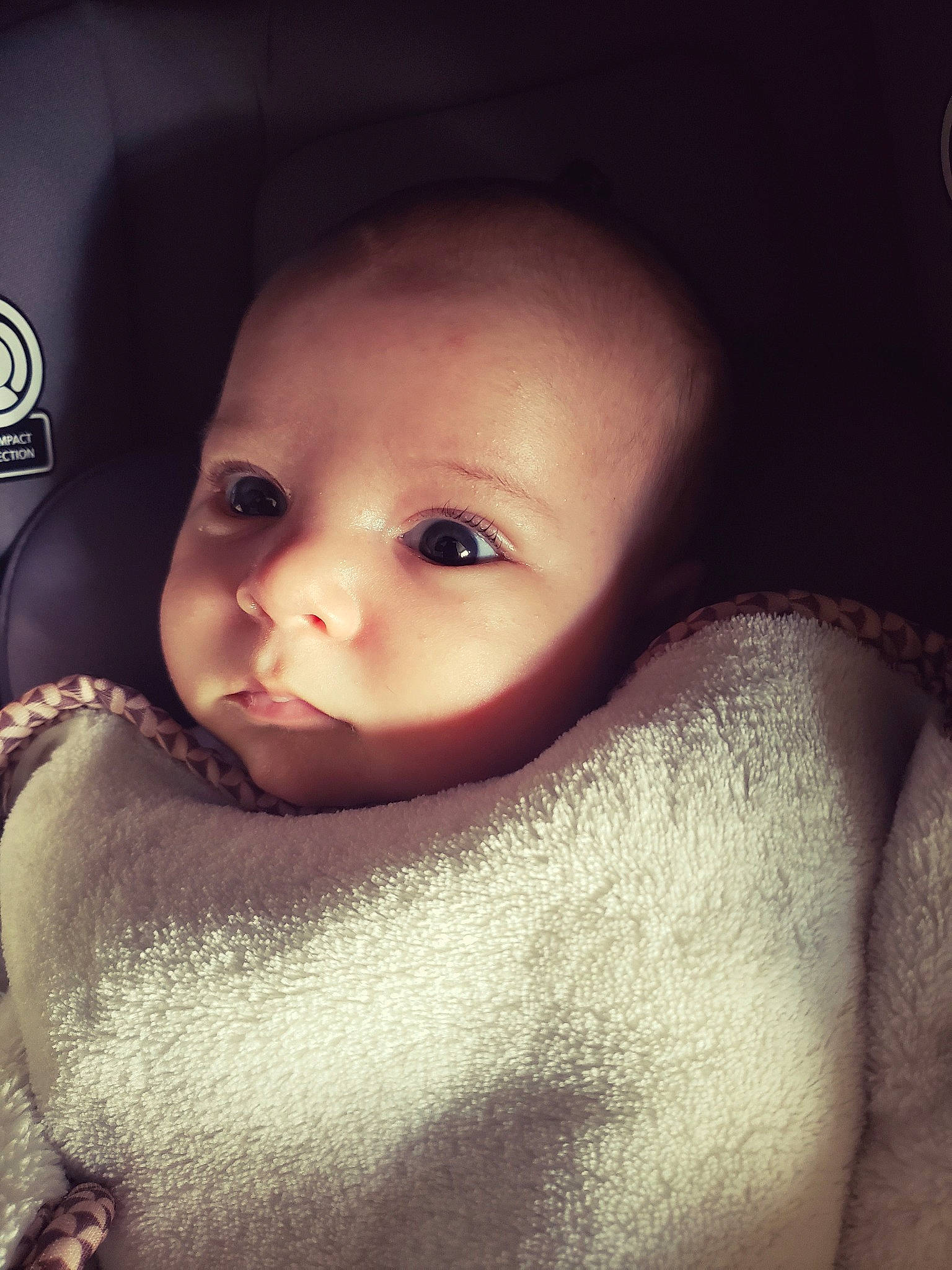 Leroy joined the competition — help win amazing prizes! baby, beauty, cheek, child, chin, close_up, cloud, eye, eyebrow, face, forehead, head, iris, lip, mouth, nose, organ, person, skin, sky