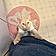 Frankie