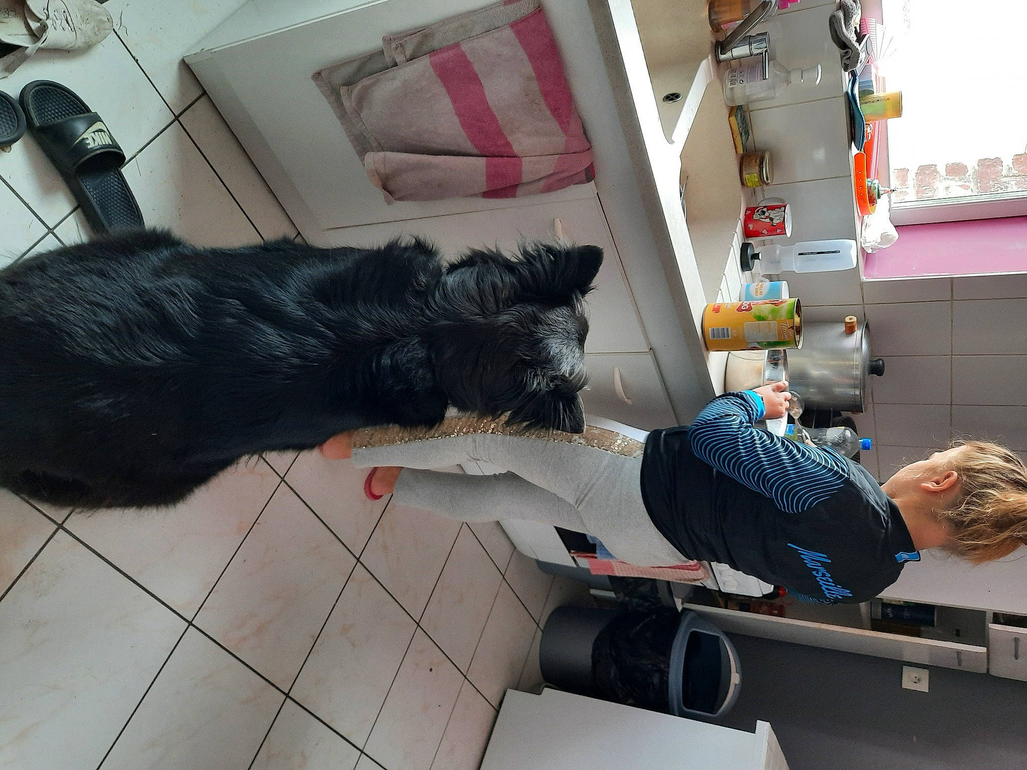 Pongo a rejoint le concours — aidez-le/la à gagner de superbes lots ! black_cat, carnivore, floor, flooring, fur, home, lamp, pillow, tail, tile, tile_flooring