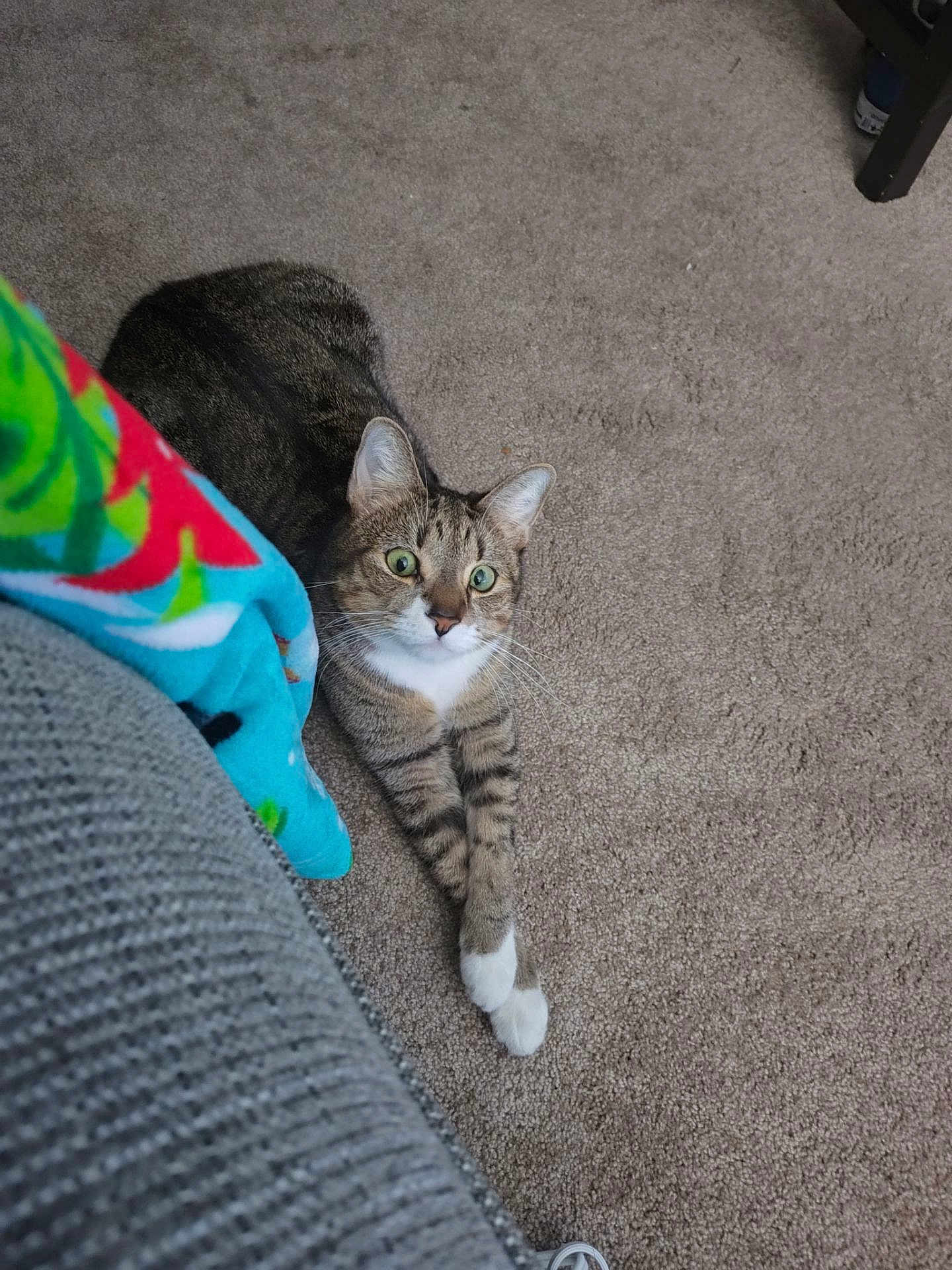 Benji