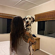 Jolene is registered to the contest to win money with this photo: animal, bed, bedroom, blinds, carpet, casual, curious, dalmatian, dog, domestic, holding, home, indoor, long_hair, night, person, pet, tattoo, window, wooden_furniture