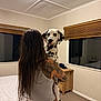 animal, bed, bedroom, blinds, carpet, casual, curious, dalmatian, dog, domestic, holding, home, indoor, long_hair, night, person, pet, tattoo, window, wooden_furniture