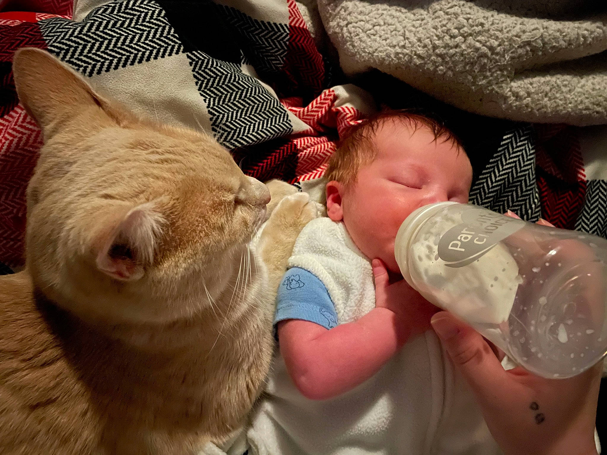 Brylin is registered to the contest to win money with this photo: baby, baby_bottle, baby_toddler_clothing, bottle, carnivore, child, comfort, drinkware, felidae, finger, head, leg, mammal, nail, person, plastic_bottle, skin, small_to_medium_sized_cats, suidae, toddler