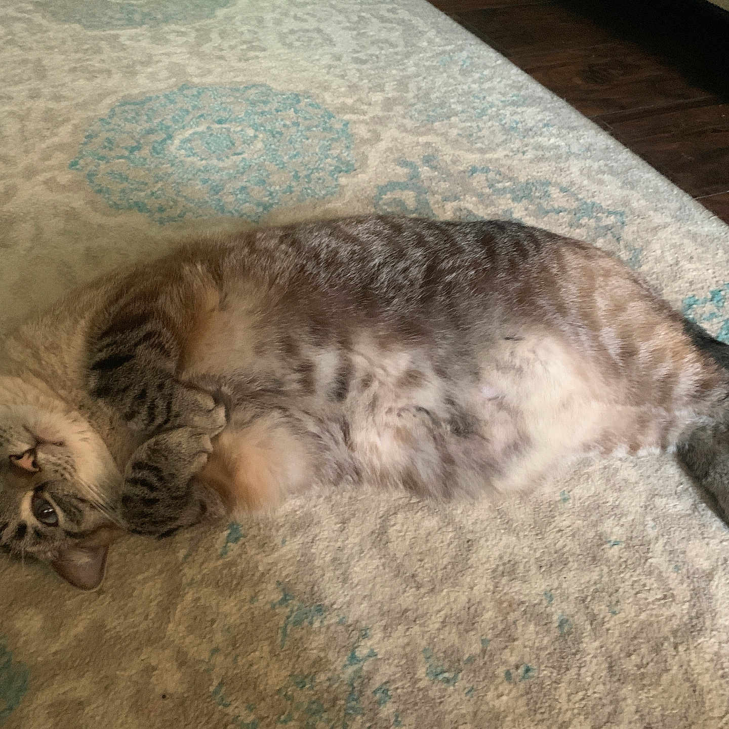 Freya