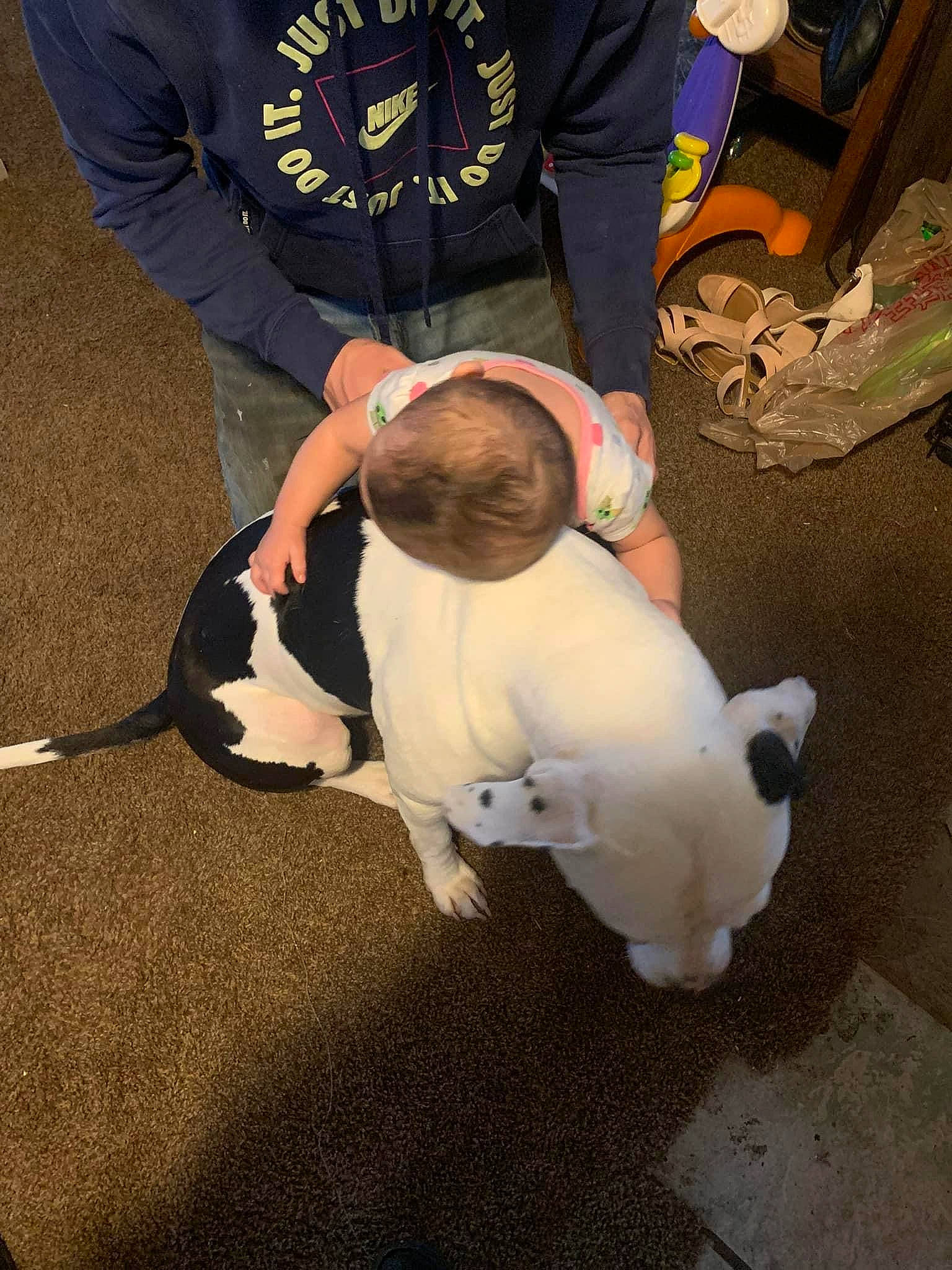 Aleah joined the competition — help win amazing prizes! canidae, carnivore, companion_dog, costume, dog, dog_breed, fawn, flooring, foot, fun, fur, gesture, guard_dog, karate, non_sporting_group, paw, person, sleeve, sporting_group, t_shirt