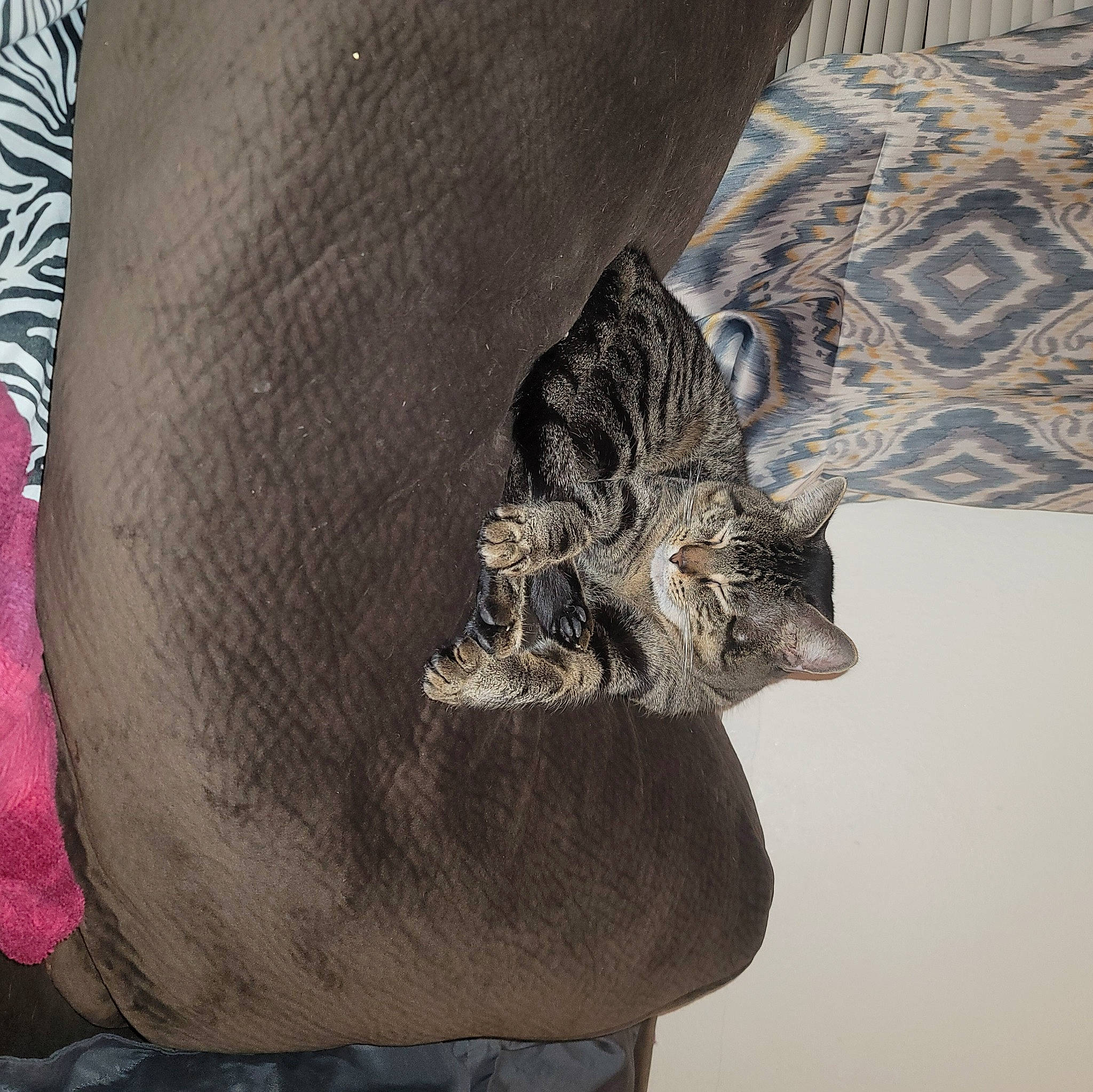 Shadow is registered to the contest to win money with this photo: art, artifact, elephant, fashion_accessory, fur, grey, human_leg, monument, pattern, sculpture, sleeve, snout, statue, tail, terrestrial_animal, trunk, visual_arts, wing, wood, wrinkle