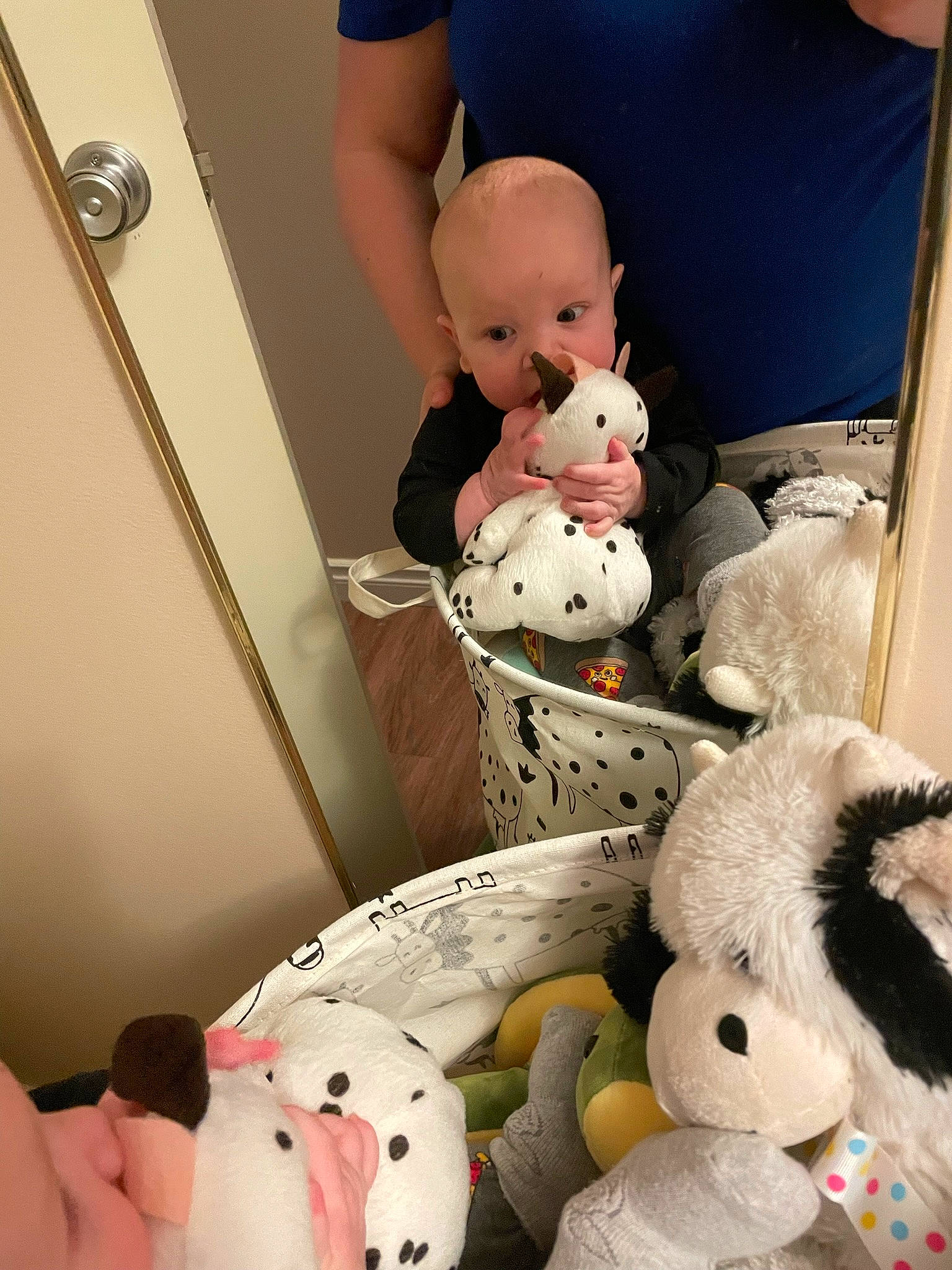 Finnley joined the competition — help win amazing prizes! baby_products, baby_toys, collection, comfort, fur, person, plush, room, shelf, stuffed_toy, toy, white