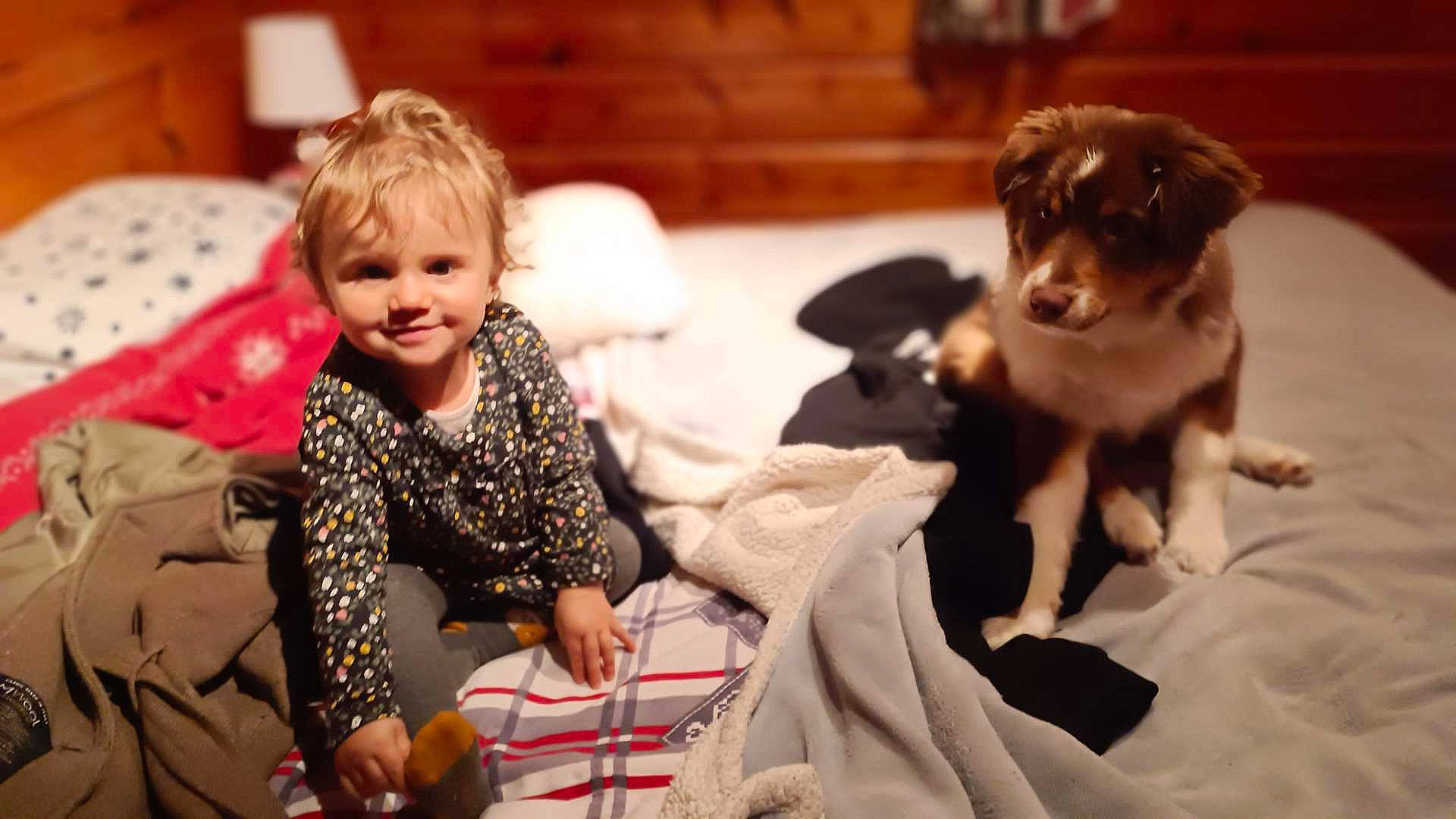 Ambre participe au concours pour gagner de l'argent avec cette photo : baby, carnivore, child, comfort, companion_dog, dog, dog_breed, event, fun, fur, happy, joy, leisure, person, room, sitting, smile, toddler, toy_dog, whiskers