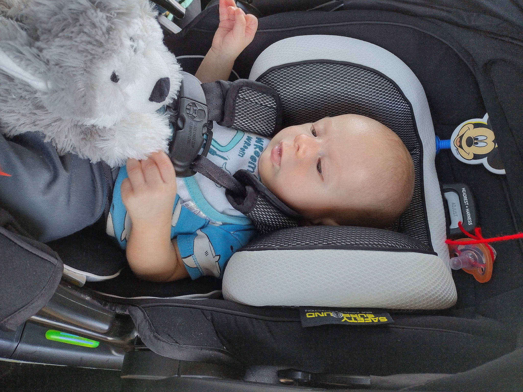 Tyson joined the competition — help win amazing prizes! auto_part, baby, baby_carriage, baby_products, baby_safety, baby_toddler_clothing, bag, car_seat, child, comfort, fur, person, product, service, smile, stuffed_toy, teddy_bear, toddler, toy, tree
