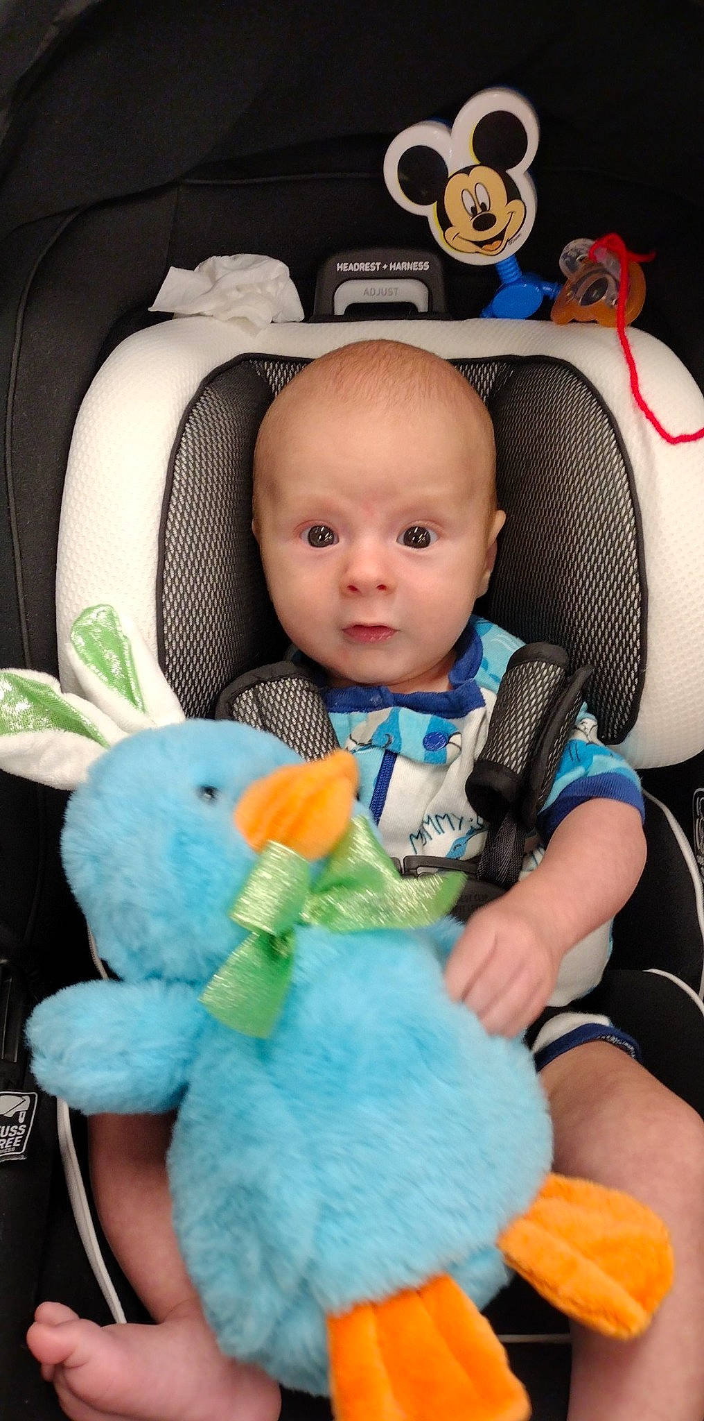 Tyson joined the competition — help win amazing prizes! baby, baby_in_car_seat, baby_toddler_clothing, blue, child, comfort, finger, headgear, mammal, organ, person, photograph, pink, product, skin, stuffed_toy, textile, toddler, toy, vertebrate
