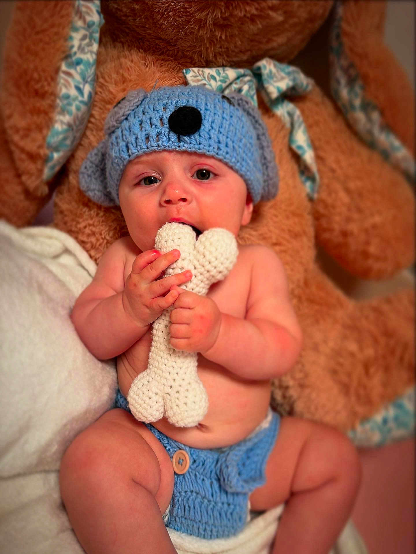 Noah participe au concours pour gagner de l'argent avec cette photo : baby, knit_hat, knit_diaper_cover, plush_toy, teddy_bear, toy, chewing, cute, child, infant, soft_texture, blue, hand, face, indoor, warm_lighting, portrait, sitting, skin, cozy