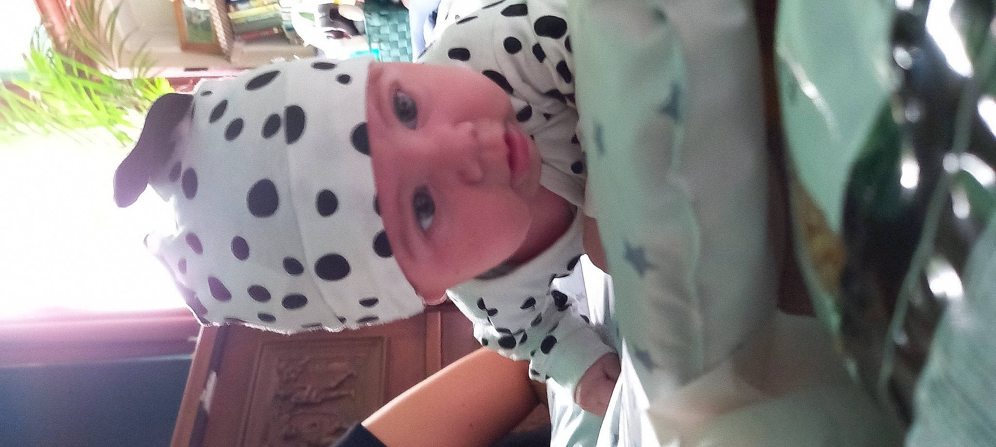 Yanis a rejoint le concours — aidez-le/la à gagner de superbes lots ! baby, baby_toddler_clothing, carmine, costume, eyelash, fur, hat, headwear, linens, pattern, person, polka_dot, sleeve, toddler