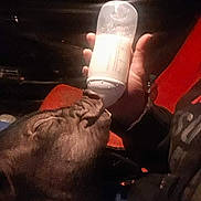 Elwis participe au concours pour gagner de l'argent avec cette photo : alcohol, cloud, drink, flesh, glass, hand, light, night, plastic_bottle, sky, water