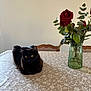 Lira participe au concours pour gagner de l'argent avec cette photo : black_cat, cat, table, tablecloth, floral_pattern, red_roses, flowers, vase, green_leaves, wooden_chair, indoor, pet, animal, yellow_eyes, relaxing, home, decor, still_life, plant, feline